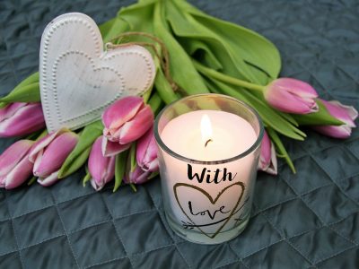 flower-3111821_960_720 flower-3111821_960_720